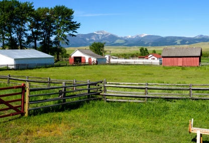Gorgeous ranch homes on bright green fields in Montana